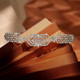 Harmony of Brilliance,,hi-res image number null