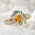 Sunshine and Rainbow,,hi-res image number null
