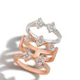 The Belonging Ring,,hi-res image number null
