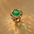 Reverberation Ring,,hi-res image number null