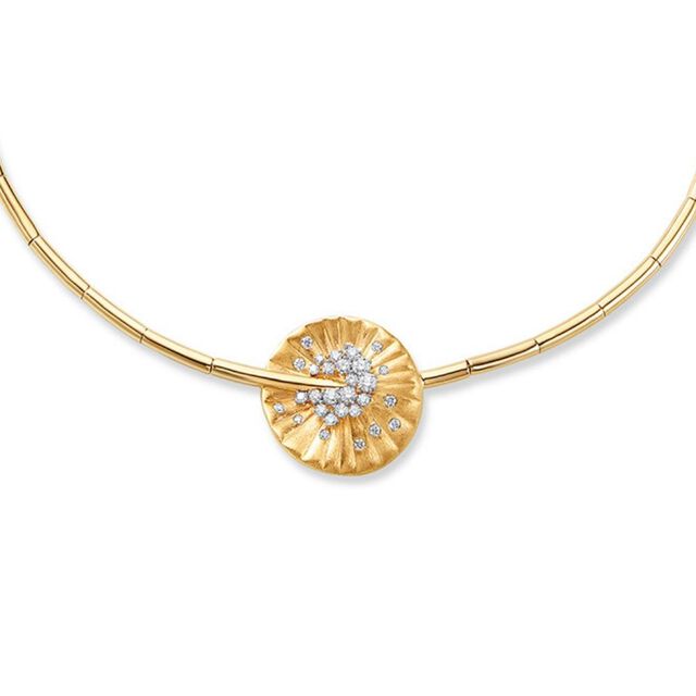 Fig Neck Piece Necklace,,hi-res image number null