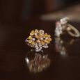 Daylight Ring,,hi-res image number null