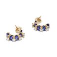 Pantheon Dome Tanzanite Earrings,,hi-res image number null
