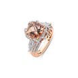 A Dynamic Chorale Ring,,hi-res image number null