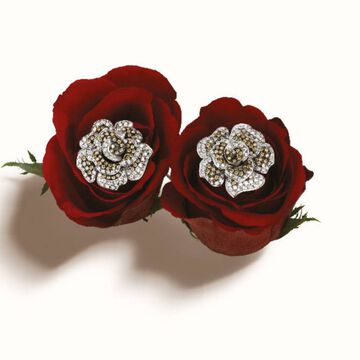 La Duna Rosa earrings