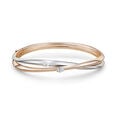 My Embrace bangle, Slim, 2 Diamonds,,hi-res image number null