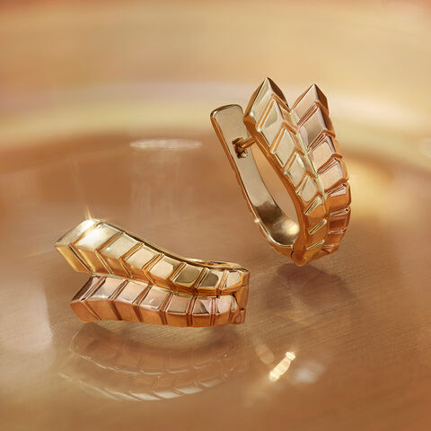 Entwined in Change Earrings